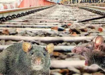 लखनऊ में चूहे पकड़ने के लिए खर्च कर दिए 70 लाख रुपये वाली न्यूज़ को रेलवे ने बताया असत्य