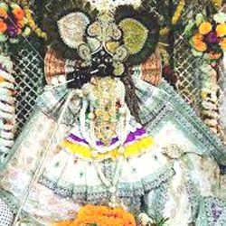 शरद पूर्णिमा पर ठा. बिहारी जी के दर्शन करने के लिए वृंदावन में उमड़ी लाखों श्रद्वालुओं की भीड़