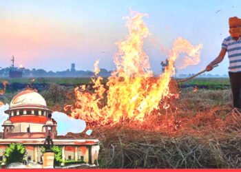 दिल्ली-प्रदूषण : सुप्रीम कोर्ट का यूपी सहित पांच राज्यों को पराली जलाने को रोकने का आदेश
