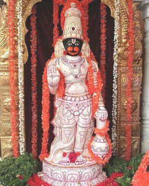 समाचार पत्र विक्रेता समिति हनुमान जन्मोत्सव पर करेगी विशेष कार्यक्रम