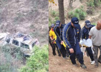 उत्तराखंड :  पिथौरागढ़-एंचोली के अडोली में वाहन खाई में गिरा, चार की मौत, चार घायल