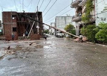 तेज लू के बाद मथुरा में आंधी के साथ बारिश, महिला की मौत टीन शेड, पेड़ गिरने से बिजली सप्लाई हुई ठप