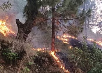 Uttarkashi Fire news: उत्तराखंड के जंगलों में फिर भड़की आग, ऊंची लपटों में जिंदा जल गए कई जानवर