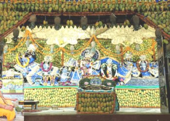 वृंदावन में ठा. राधा दामोदर मंदिर में सजा आम का बंगला, विशेष दर्शन को उमड़े भक्त