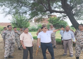 जमुना पार और सदर बाजार क्षेत्र में नगर निगम की जमीन पर कब्जा कर फसल बोई