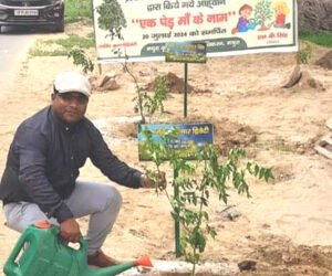 योगी सरकार के पौधारोपण अभियान में मथुरा ने बनाया रिकार्ड