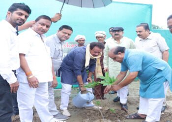 वृक्षारोपण विकल्प नही, पृथ्वी पर जीवन की जरूरत है: प्रो एस पी सिंह बघेल