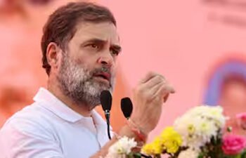 हरियाणा को भाजपा ने बर्बाद कर दिया : राहुल