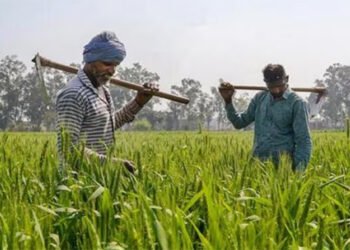 दिवाली से पहले मिल जाएगी किसान सम्मान निधि की 18वीं किस्त