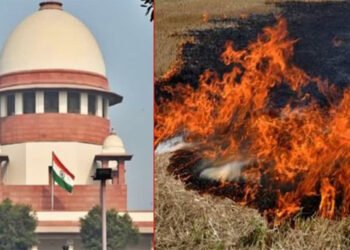 पंजाब-हरियाणा सरकार को सुप्रीम कोर्ट की फटकार, पराली जलाने वालों के खिलाफ कार्रवाई न करने पर नाराजगी
