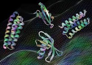 चिकित्सा और प्रौद्योगिकी में परिवर्तनकारी साबित होगा नए प्रोटीन का निर्माण