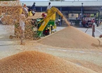 केंद्र ने पंजाब में 27,995 करोड़ रुपये का धान खरीदा, 6.8 लाख किसानों को हुआ फायदा