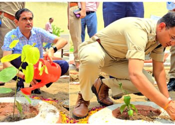 जिला जेल में हुआ वन महोत्सव कार्यक्रम, डीएम-एसएसपी, सीडीओ ने किया पौधा रोपण