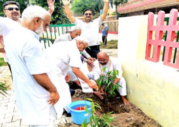 मधुवन एनक्लेव के पार्क में दर्जनों लोगों ने किया पौधरोपण