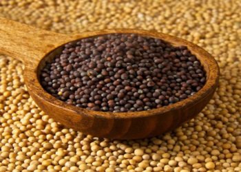 मथुरा : किसानों को वितरित की जायेगी फ्री सरसों बीज मिनीकिट