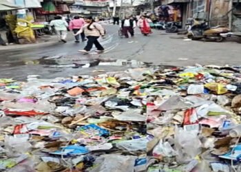 मथुरा में डोर टू डोर कूड़ा कलेक्शन कम्पनी के कर्मचारियों की हड़ताल से लगे गंदगी के ढेर