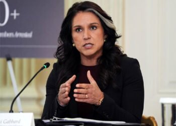 दशकों से दूसरे देशों में सत्ता परिवर्तन कराता रहा है अमेरिका; तुलसी गबार्ड ने किया बड़ा खुलासा